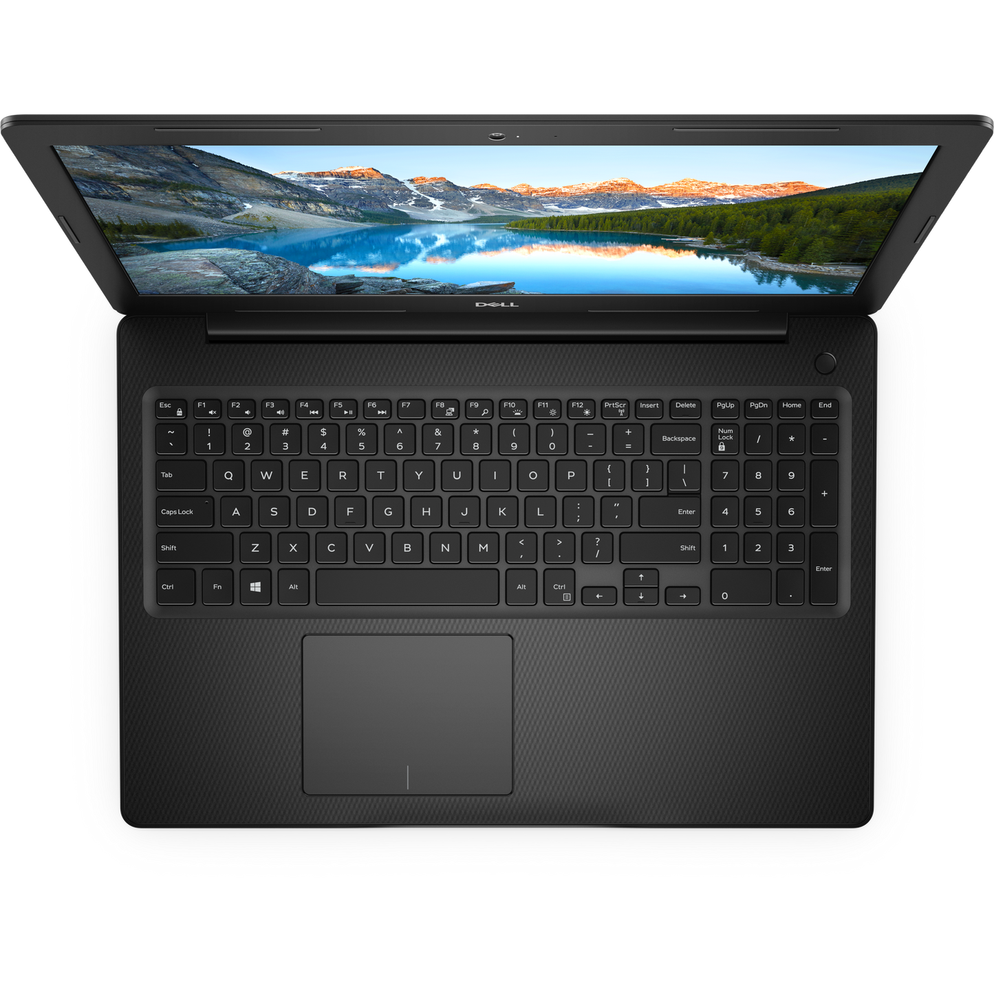 Dell3593